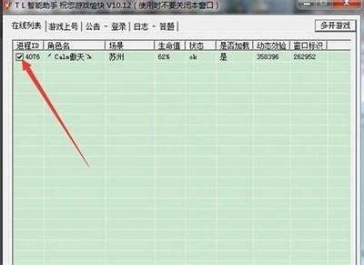 《天龙私服566辅助工具推荐与使用指南》